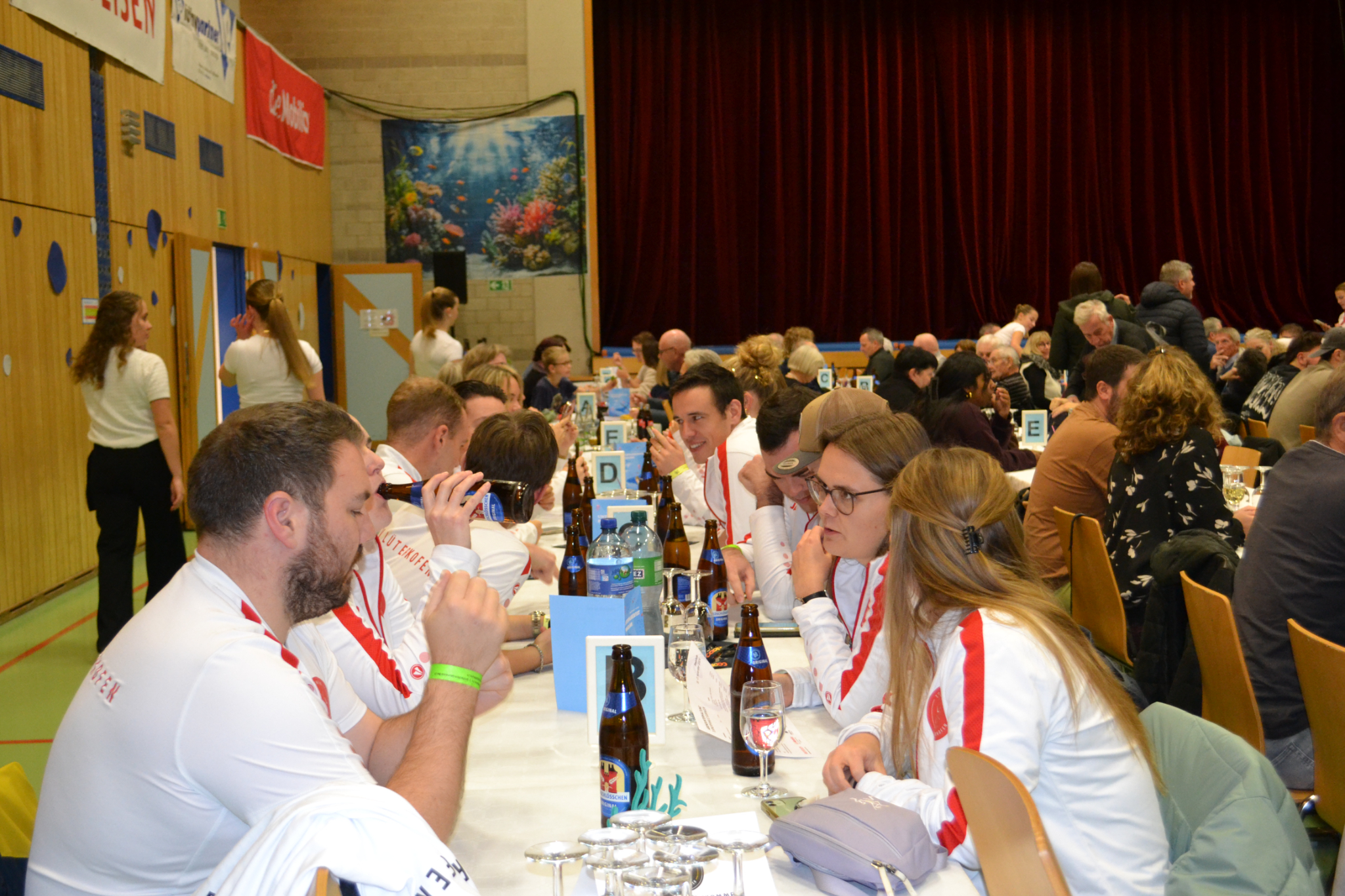 Bild4 (2)